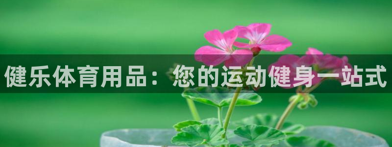 欧陆娱乐有限公司官网：健乐体育用品：您的运动健身一站