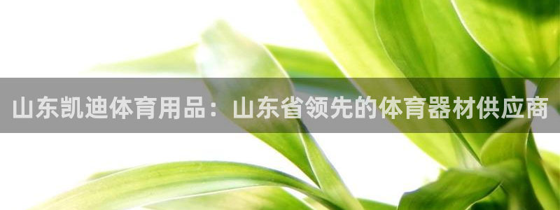 欧陆娱乐是正规平台吗安全吗知乎：山东凯迪体育用品：山