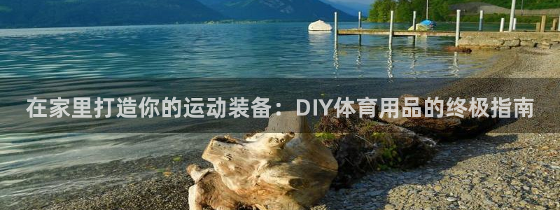 欧陆娱乐有限公司：在家里打造你的运动装备：DIY体育