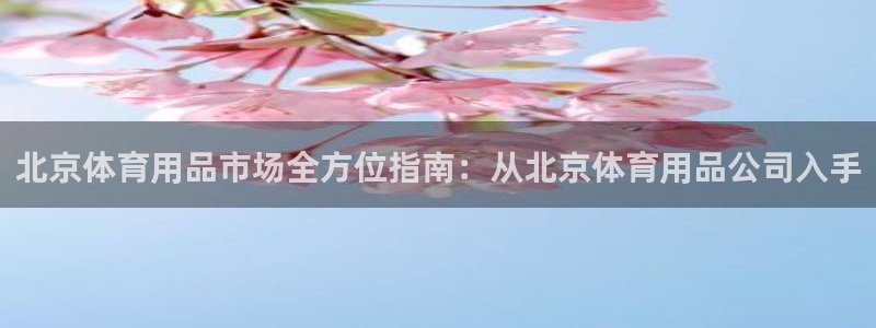 欧陆娱乐总代：北京体育用品市场全方位指南：从北京体育