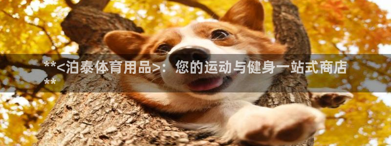 欧陆娱乐提现两百万:**<泊泰体育用品>:您的运动与健身一站