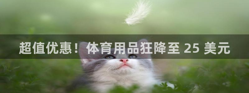 欧陆娱乐是正规吗?:超值优惠!体育用品狂降至 25 美元