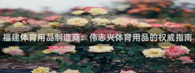 欧陆娱乐是正规平台吗安全吗可靠吗:福建体育用品制造商:伟志兴