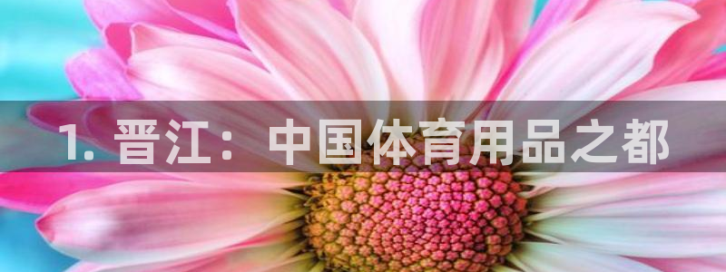 欧陆娱乐代理多少个点位可以赚钱:1. 晋江:中国体育用品之都