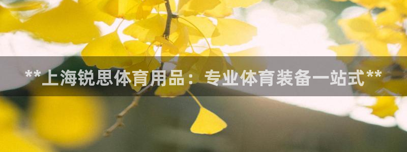 欧陆娱乐分分彩:**上海锐思体育用品:专业体育装备一站式**